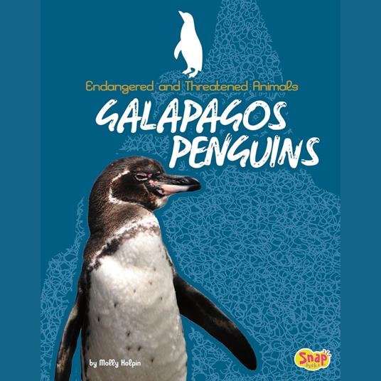 Galapagos Penguins