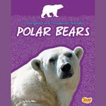 Polar Bears