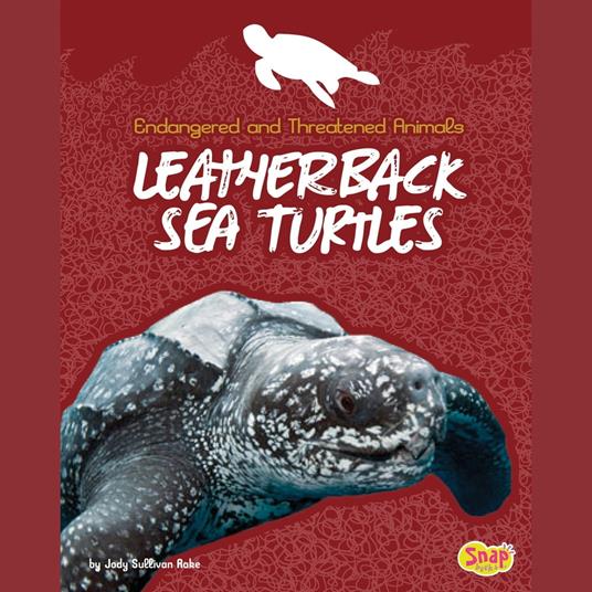 Leatherback Sea Turtles