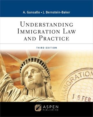 Understanding Immigration Law and Practice: [Connected Ebook] - Ayodele Gansallo,Judith Bernstein-Baker - cover