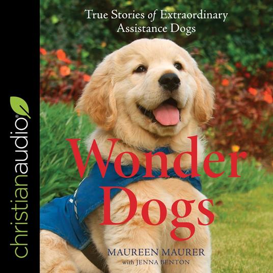 Wonder Dogs