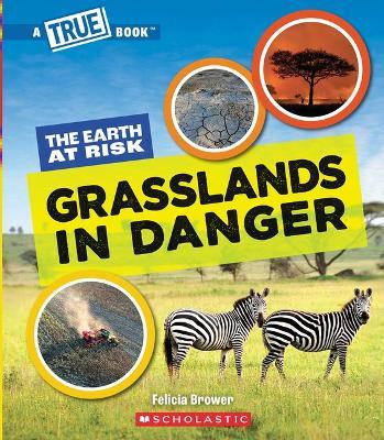 Grasslands in Danger (a True Book: The Earth at Risk) - Felicia Brower - cover