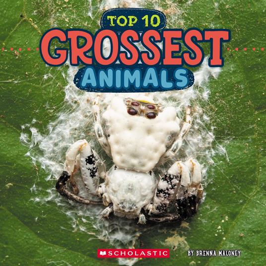 Top Ten Grossest Animals (Wild World) - Brenna Maloney - ebook