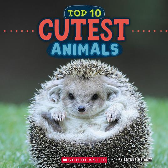 Top 10 Cutest Animals (Wild World) - Brenna Maloney - ebook