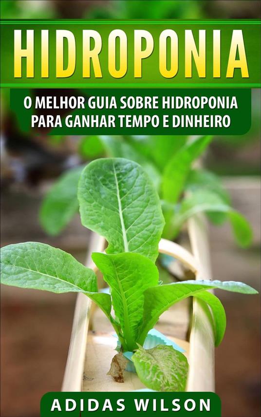 Hidroponia: O Melhor Guia Sobre Hidroponia Para Ganhar Tempo e Dinheiro