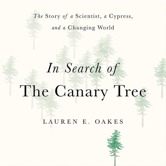 In Search of the Canary Tree