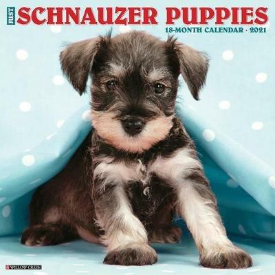 Just Schnauzer Puppies 2021 Wall Calendar (Dog Breed Calendar) - Willow Creek Press - cover