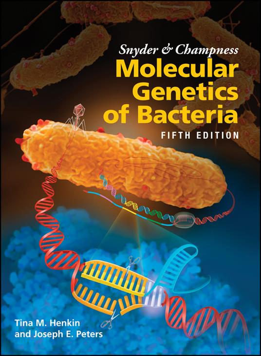 Snyder and Champness Molecular Genetics of Bacteria - Tina M. Henkin,Joseph E. Peters - cover