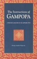 The Instructions of Gampopa: A Precious Garland of the Supreme Path - Karthar - cover