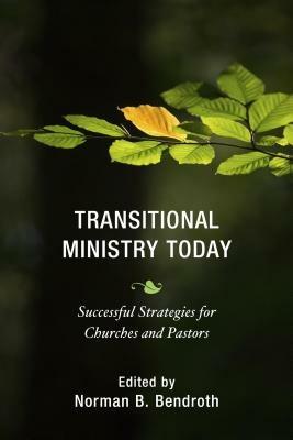 Transitional Ministry Today: Successful Strategies for Churches and Pastors - cover