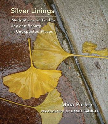 Silver Linings: Meditations on Finding Joy and Beauty in Unexpected Places - Mina Parker - cover