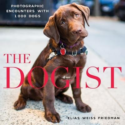 The Dogist: Photographic Encounters with 1,000 Dogs - Elias Weiss Friedman - cover