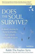 Does the Soul Survive?: A Jewish Journey to Belief in Afterlife, Past Lives & Living with Purpose