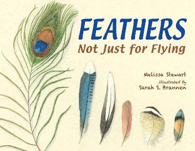 Feathers: Not Just for Flying - Melissa Stewart - cover