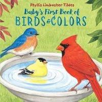 Baby's First Book of Birds & Colors - Phyllis Limbacher Tildes - cover