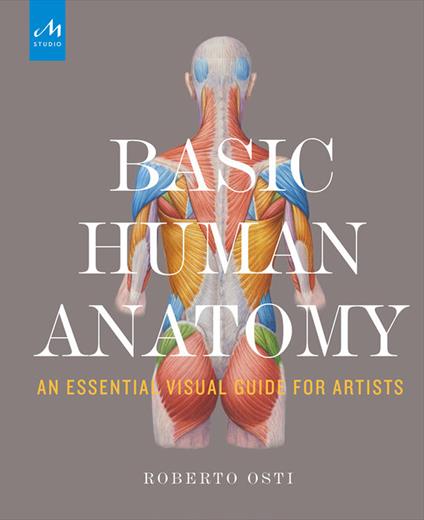 Basic human anatomy. An essential visual guide for artists - Roberto Osti - copertina