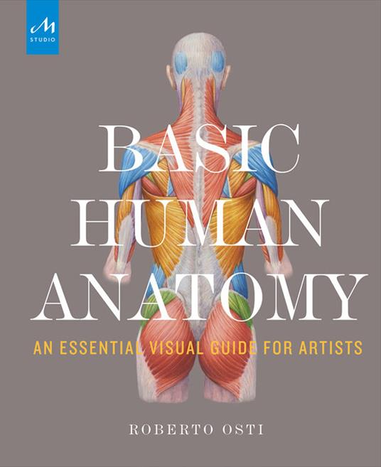 Basic human anatomy. An essential visual guide for artists - Roberto Osti - copertina