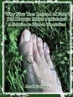 Why Five Toes Instead of Four?: Did Darwin Make a Mistake?