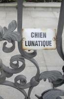 Chien Lunatique: Poems