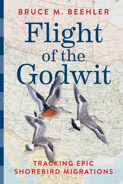 Flight of the Godwit