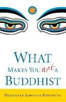 What Makes You Not a Buddhist - Dzongsar Jamyang Khyentse - cover