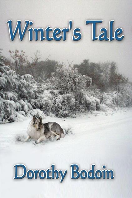Winter's Tale - Dorothy Bodoin - ebook