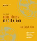 Guided Mindfulness Meditation