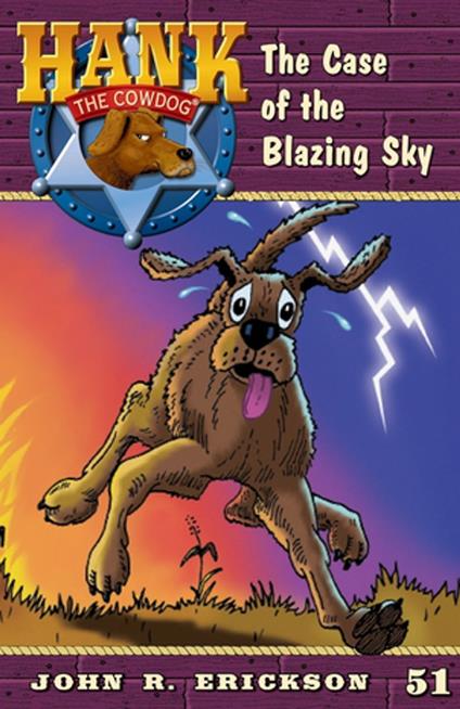 The Case of the Blazing Sky - John R. Erickson,Gerald L. Holmes - ebook