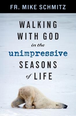 Walking with God in the Unimpressive Seasons of Life - Mike Schmitz - cover