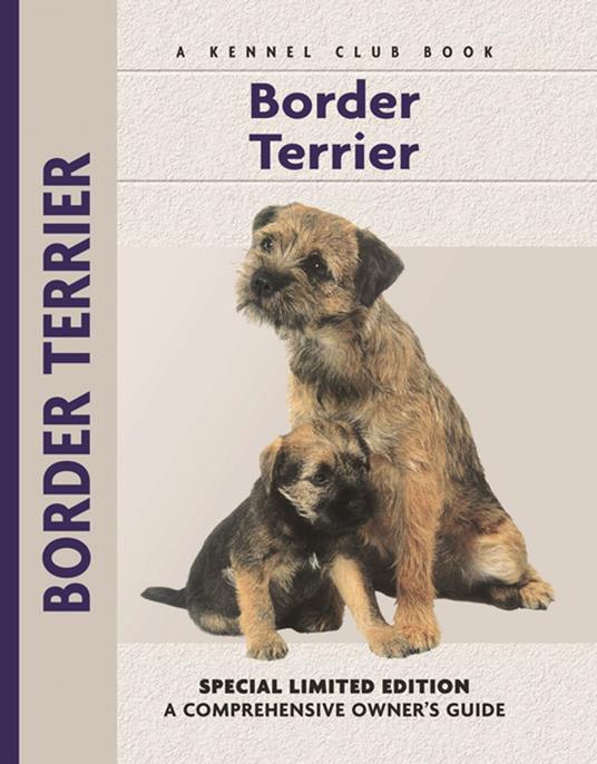 Border Terrier