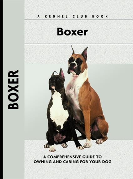 Boxer