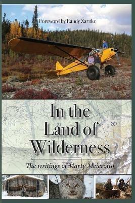 In the Land of Wilderness - Marty Meierotto - cover