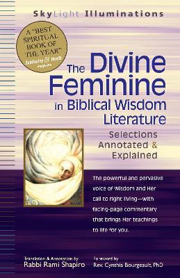 The Divine Feminine in Biblical Wisdom Literature: Selections Annotated and Explained - Rabbi Rami Shapiro - cover