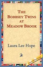 The Bobbsey Twins at Meadow Brook