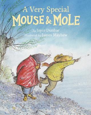 A Very Special Mouse and Mole - Joyce Dunbar,James Mayhew - cover