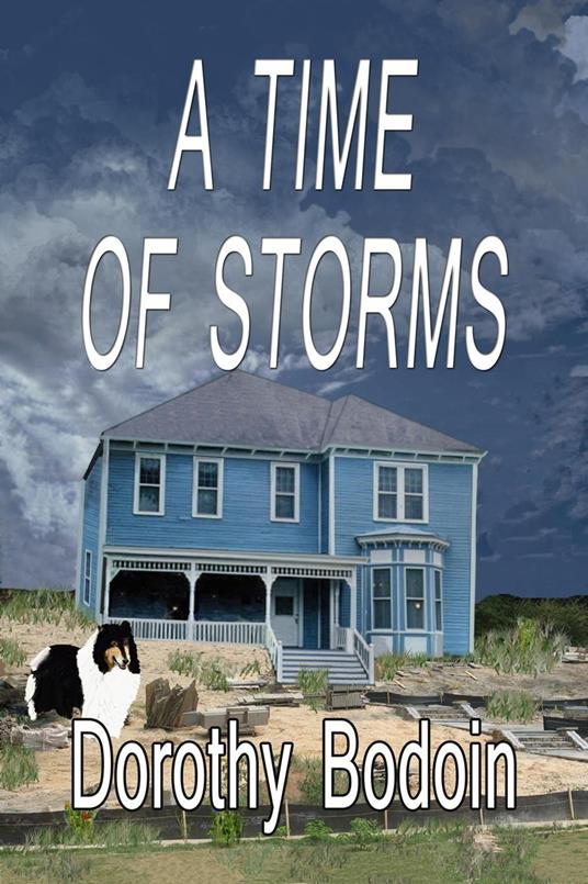 A Time of Storms - Dorothy Bodoin - ebook