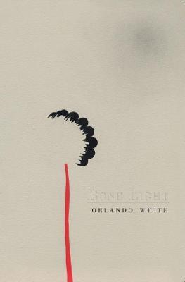 Bone Light - Orlando White - cover