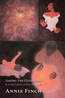 Among the Goddesses: An Epic Libretto in Seven Dreams - Annie Finch - cover
