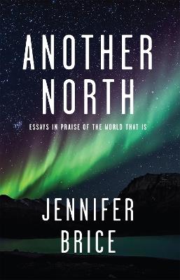 Another North - Jennifer Brice - cover