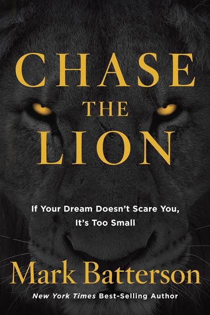 Chase the Lion