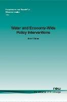 Water and Economy-Wide Policy Interventions