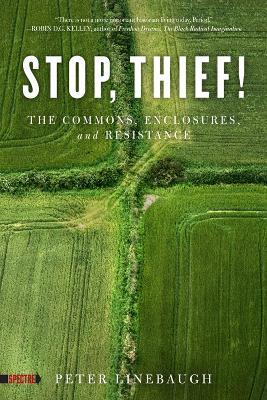 Stop, Thief!: The Commons, Enclosures, And Resistance - Peter Linebaugh - cover