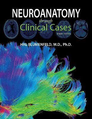 Neuroanatomy through Clinical Cases - Hal Blumenfeld - Libro in lingua  inglese - Oxford University Press Inc - | IBS