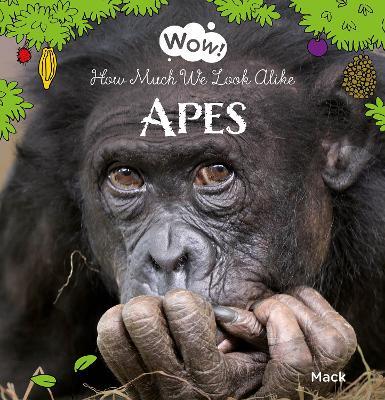 Wow! Apes. How Much We Look Alike - Mack Gageldonk - cover