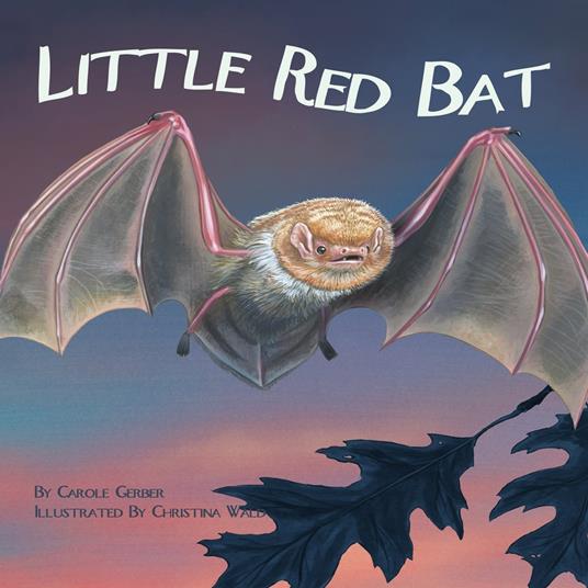 Little Red Bat