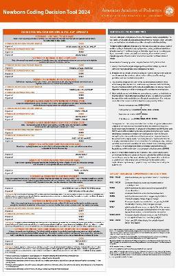 Newborn Coding Decision Tool 2024 - American Academy of Pediatrics Committee on Coding and Nomenclature - cover