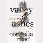 Valley of Ashes