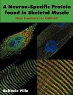 A Neuron-Specific Protein found in Skeletal Muscle: New Frontiers for GAP-43