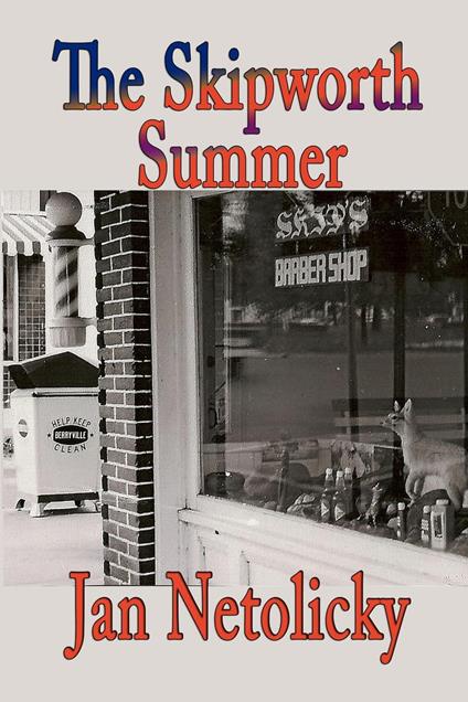 The Skipworth Summer - Jan Netolicky - ebook