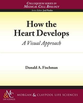 How the Heart Develops - Donald Fischman - cover